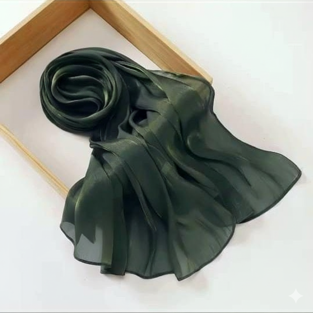 Organza Silk Scarf