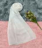 Shimmer Chiffon Scarf